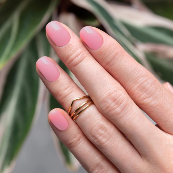 Pink Tacular
